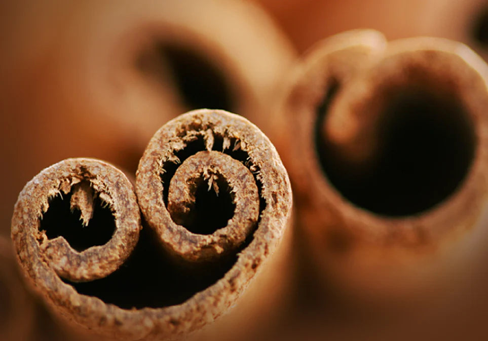 有機肉桂路易波士茶|15茶包裝