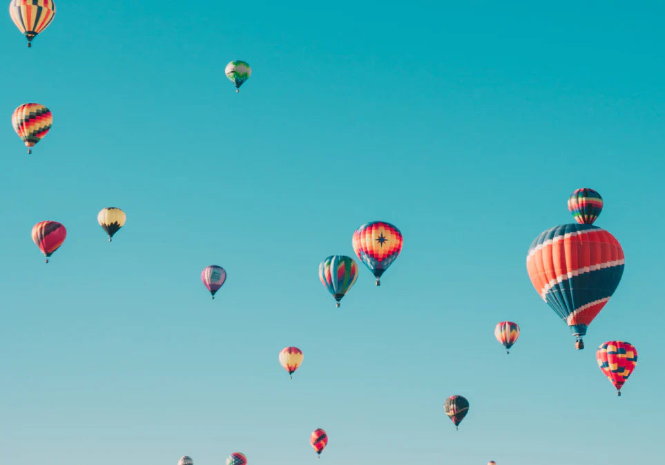 消化・消腫茶 丨Digestion & Debloat Teas