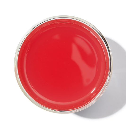 Forever Nuts ｜Forever Nuts Tea Pack of 15 Sachets