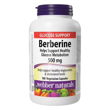 Webber Naturals 小檗鹼 500 毫克 ｜180粒
